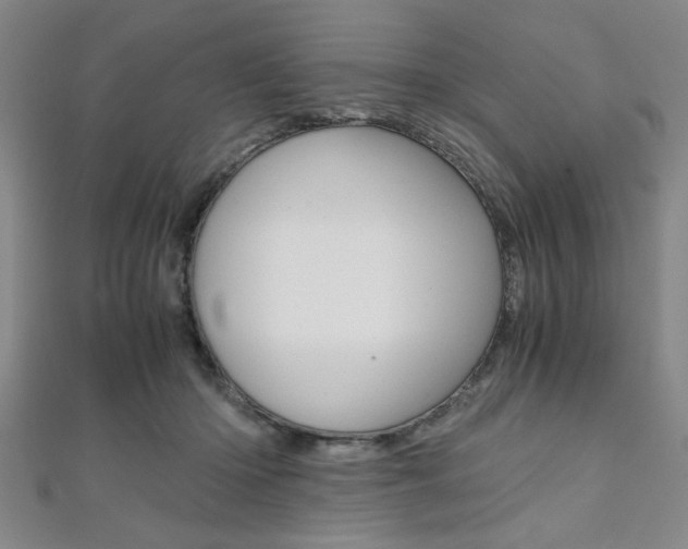 X0000112110414200908041155