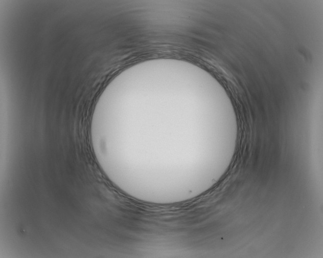 X0000112110417200908041155