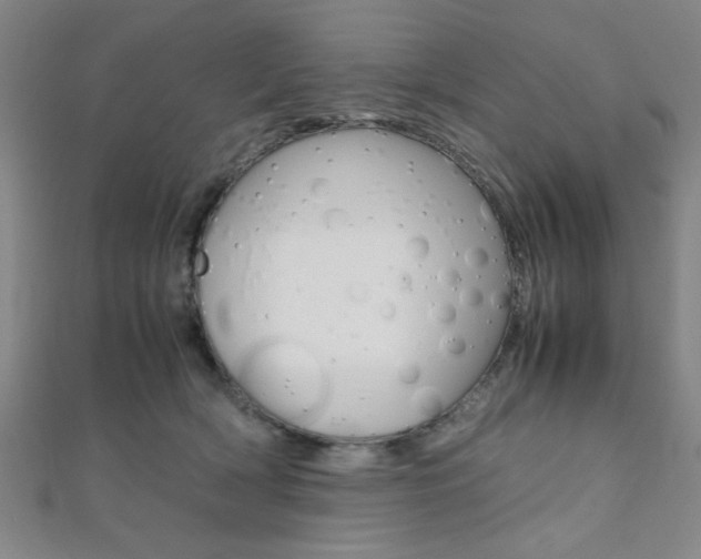 X0000112110418200908041155