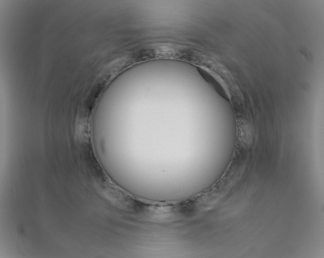 X0000112110419200908041155