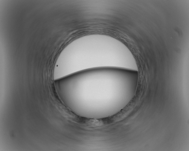 X0000112110421200908041155