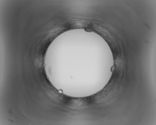 X0000112110423200908041155