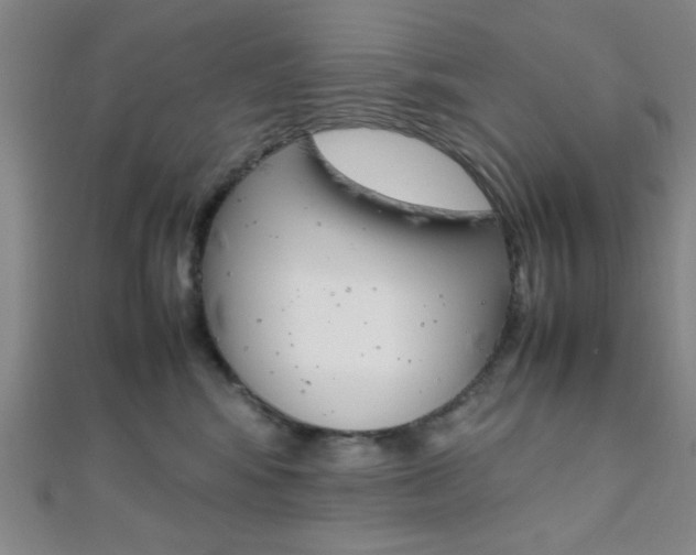 X0000112110424200908041155