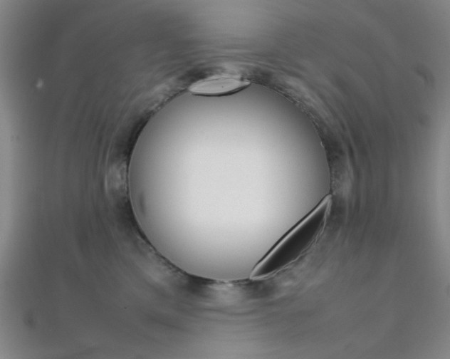 X0000112110425200908041155