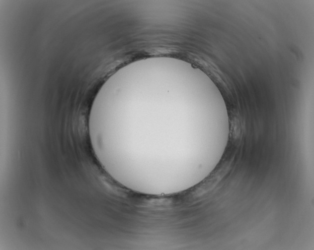 X0000112110426200908041155