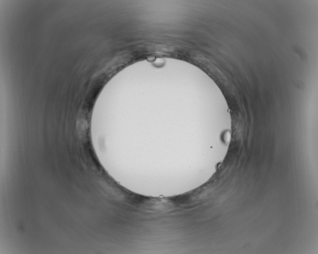 X0000112110427200908041155