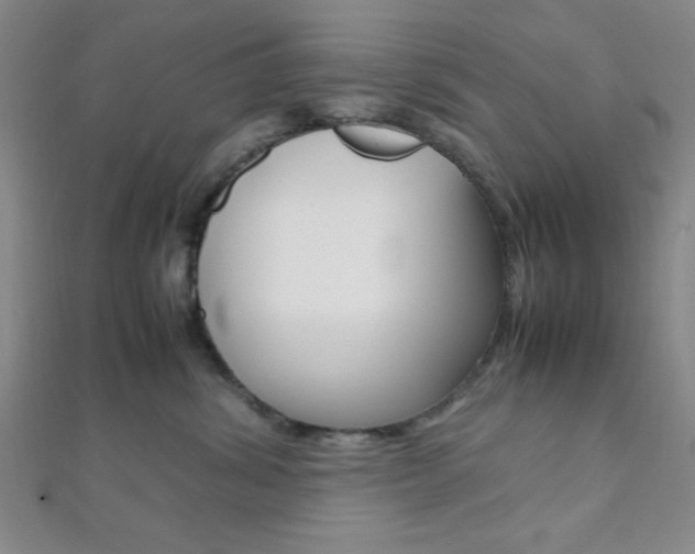 X0000112110428200908041155