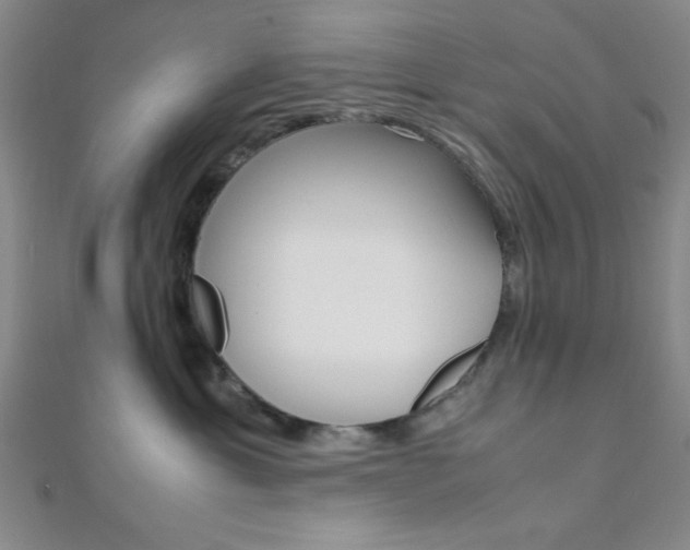 X0000112110429200908041155