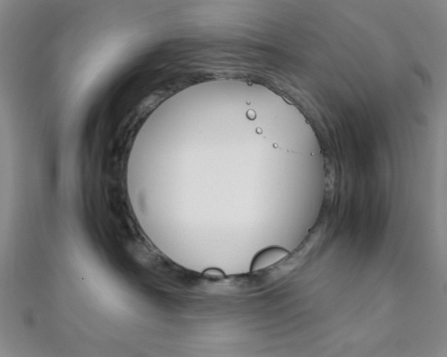 X0000112110430200908041155