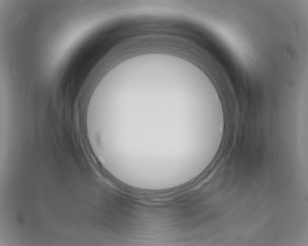 X0000112110431200908041155