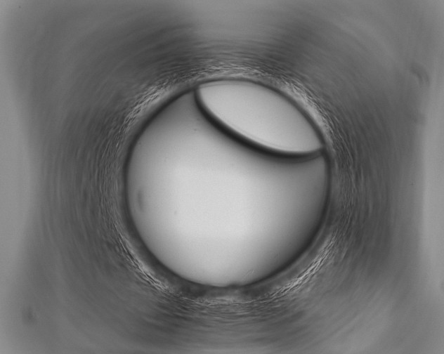 X0000112110433200908041154