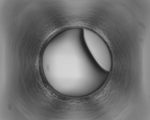 X0000112110434200908041154