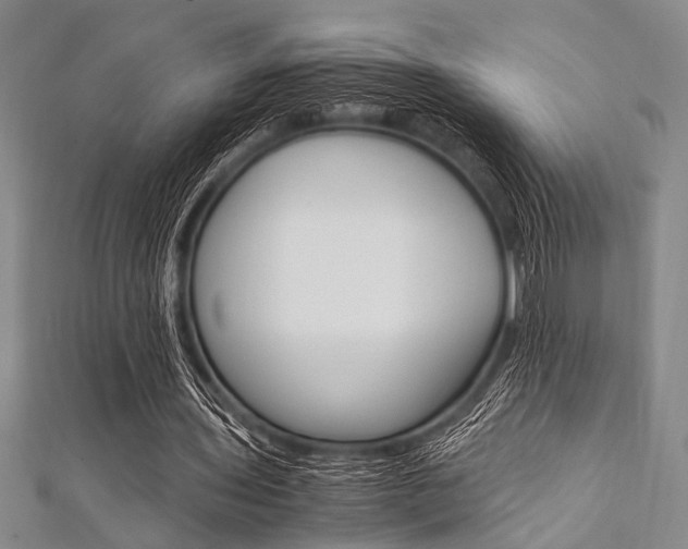X0000112110435200908041154