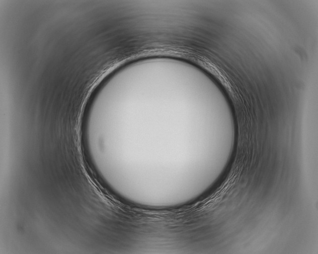 X0000112110436200908041154