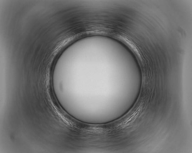 X0000112110437200908041154