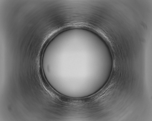 X0000112110438200908041154
