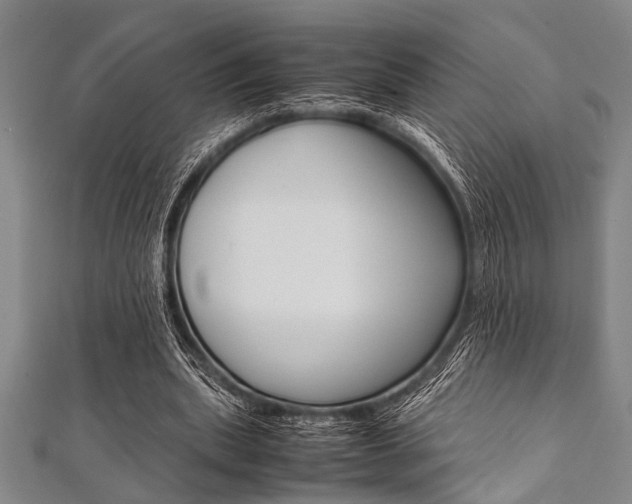 X0000112110439200908041154