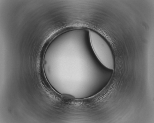 X0000112110440200908041154