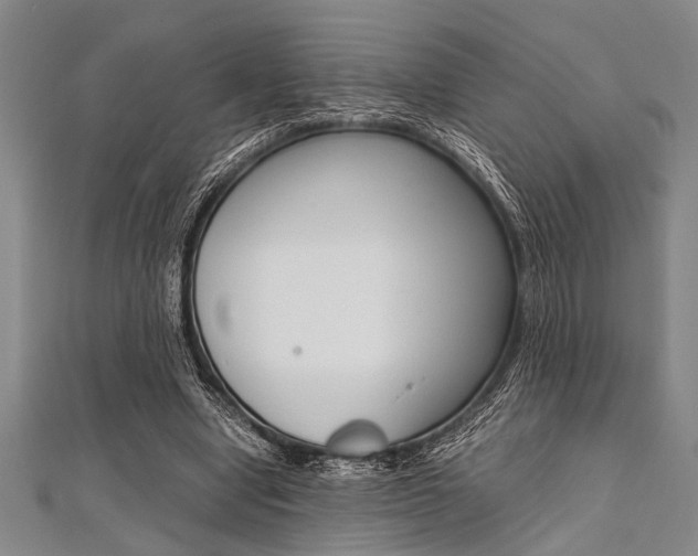 X0000112110442200908041154