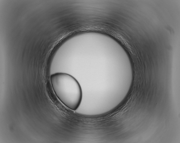 X0000112110444200908041154