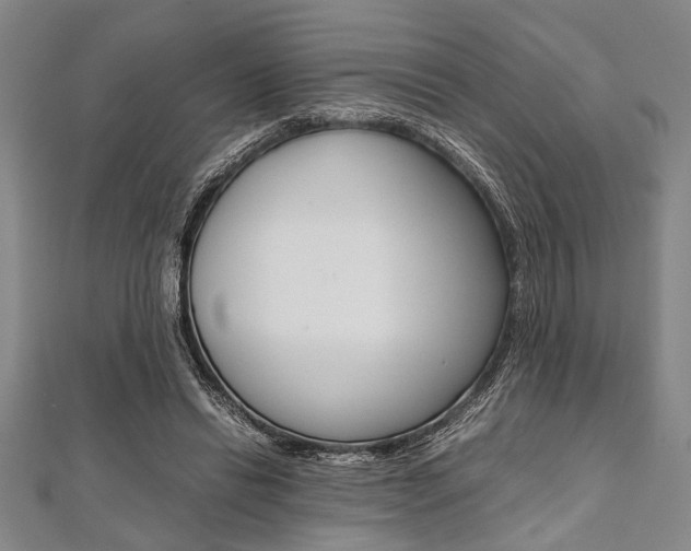 X0000112110446200908041154