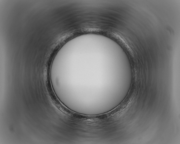 X0000112110447200908041154