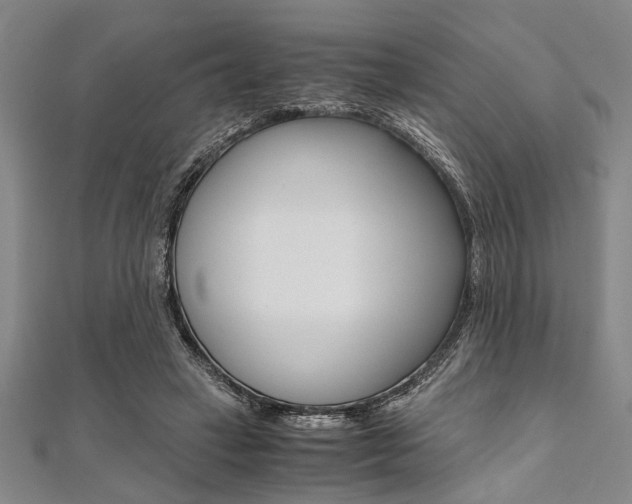 X0000112110449200908041154