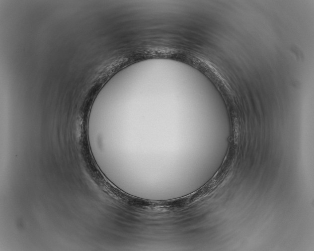 X0000112110451200908041155