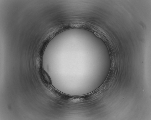 X0000112110452200908041155