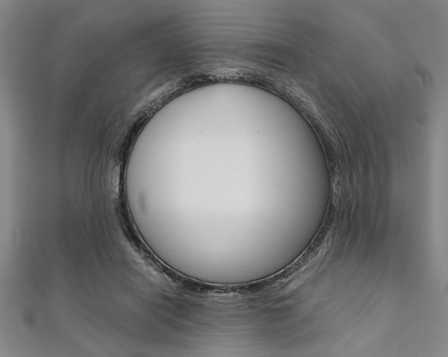 X0000112110454200908041155