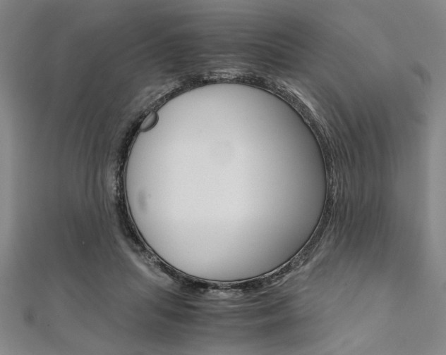 X0000112110455200908041155