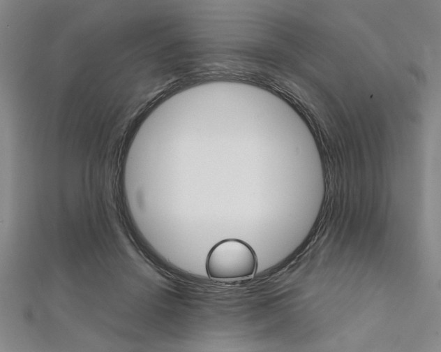 X0000112110456200908041155