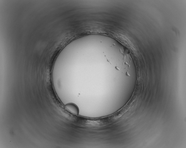 X0000112110457200908041155