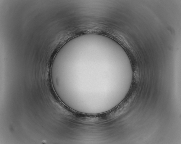 X0000112110458200908041155