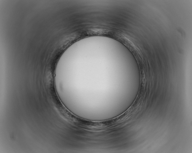 X0000112110459200908041155