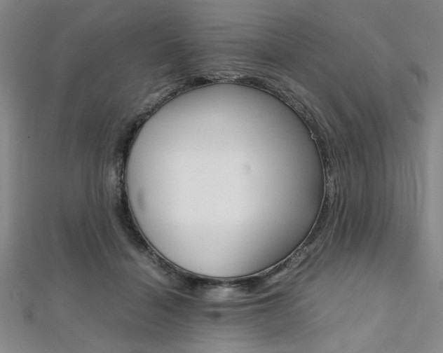 X0000112110460200908041155
