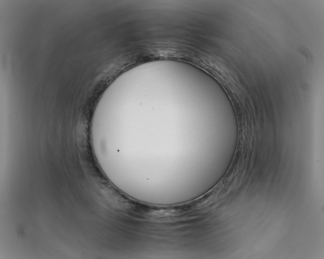 X0000112110461200908041155