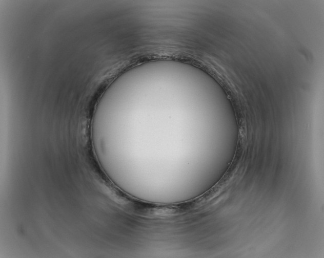 X0000112110462200908041155