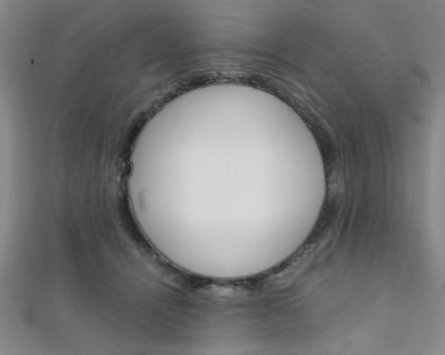 X0000112110464200908041155