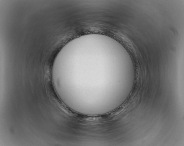 X0000112110465200908041155