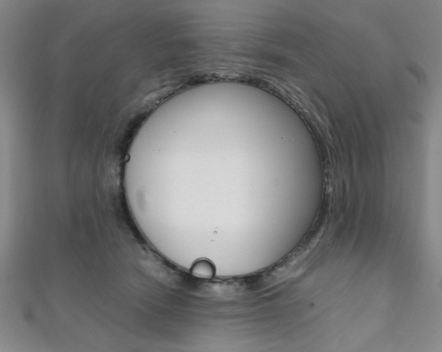 X0000112110466200908041155