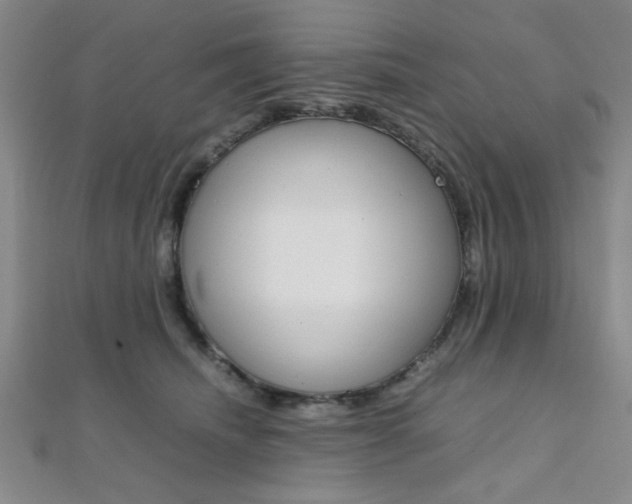 X0000112110468200908041155