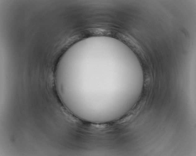 X0000112110469200908041155