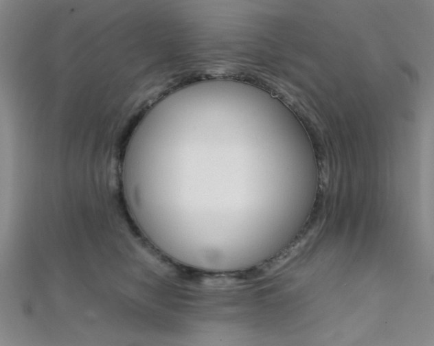 X0000112110470200908041155