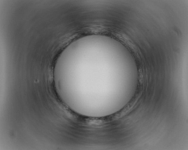 X0000112110471200908041155