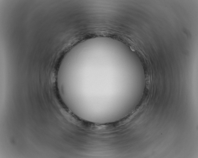 X0000112110472200908041155