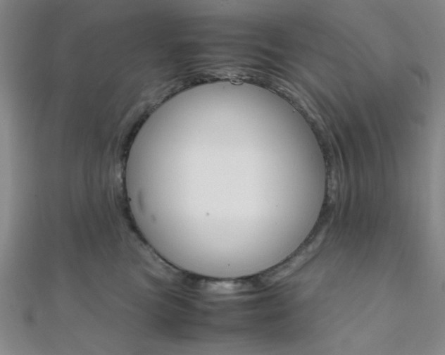 X0000112110473200908041155