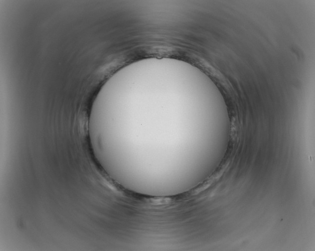 X0000112110474200908041155