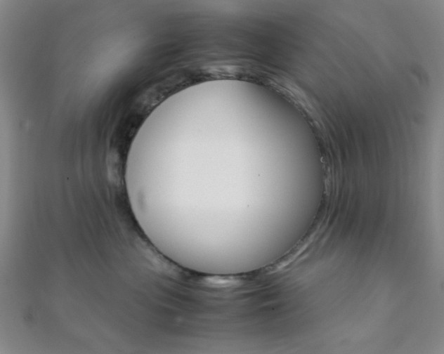 X0000112110477200908041155