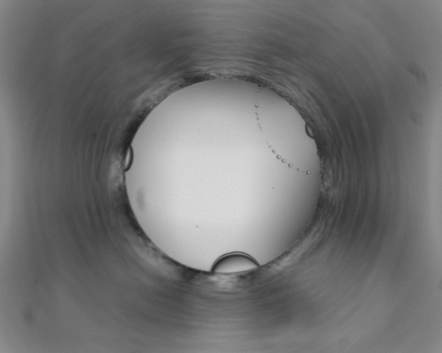 X0000112110478200908041155